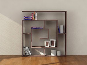 Modern Home Library designs 2011
