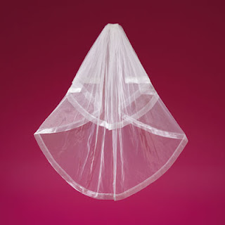 Elizabeth Dickens Bridal Veils