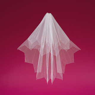 Elizabeth Dickens Bridal Veils