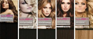 Remy Human Clip in Hair Extensions