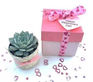Valentine’s Day Gifts for Her